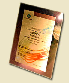 Наградной сертификат на декоративных относах